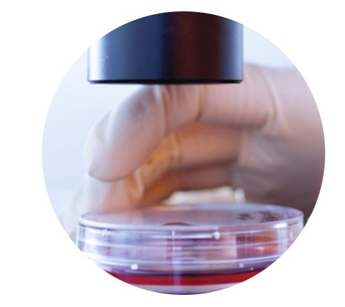 LAMINA ANTI UV / IR  INTERIOR SOLAR SCREEN AMBER C INACTINIC FILM 1.52X30.5, M.L.