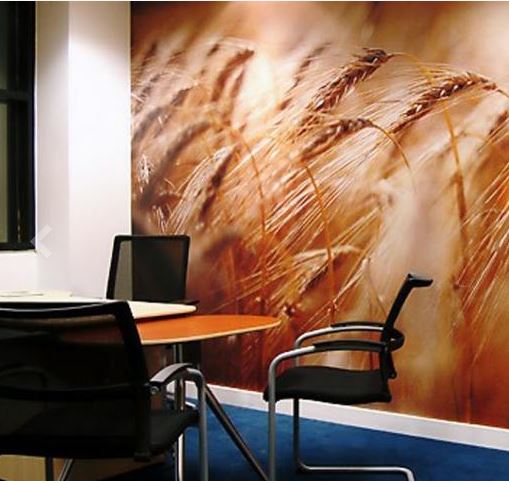 [42LF8500CG54] LAMINADO MACTAC MONOMERICO PROTECCIÓN UV BRILLO 1.37 X 50